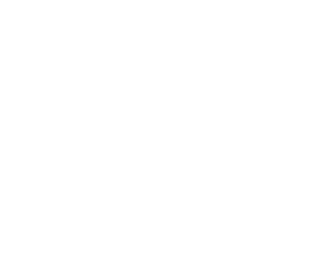 effigia belgique